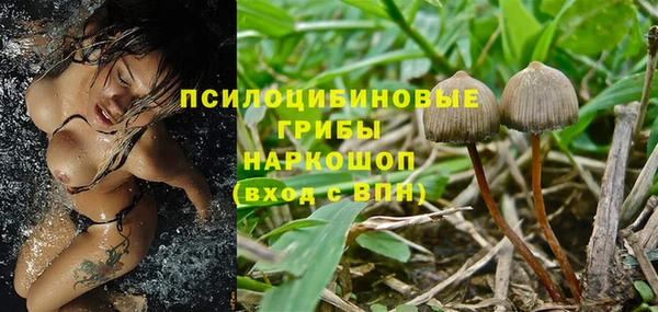 стафф Алексеевка
