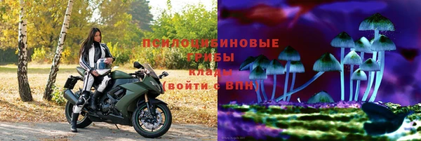 дурь Нягань