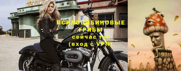 героин Алзамай